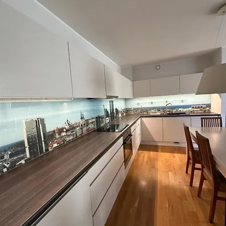 公寓 2-bedroom In Kadriorg 塔林